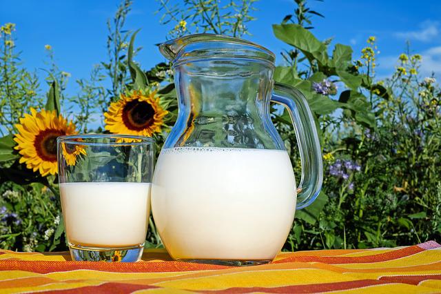 牛奶也能减肥，减肥期间该喝什么牛奶?